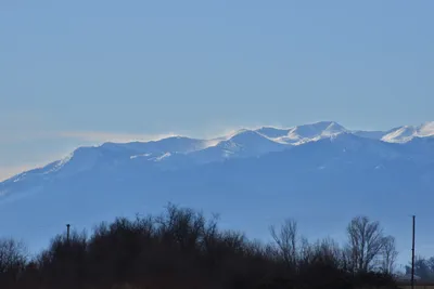 DSC_6050 (Large).JPG